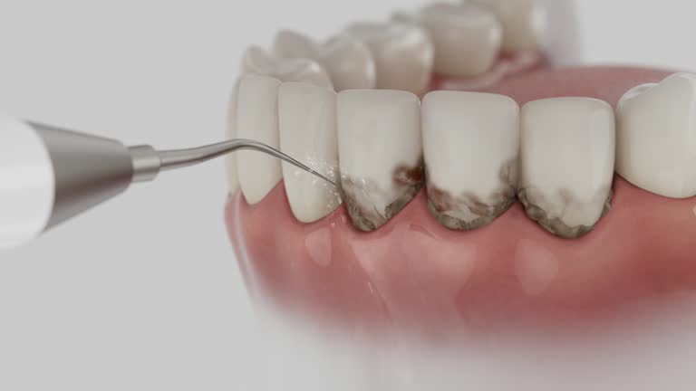 Reliable Dental contractor in Houma, LA by Dentist Open Now